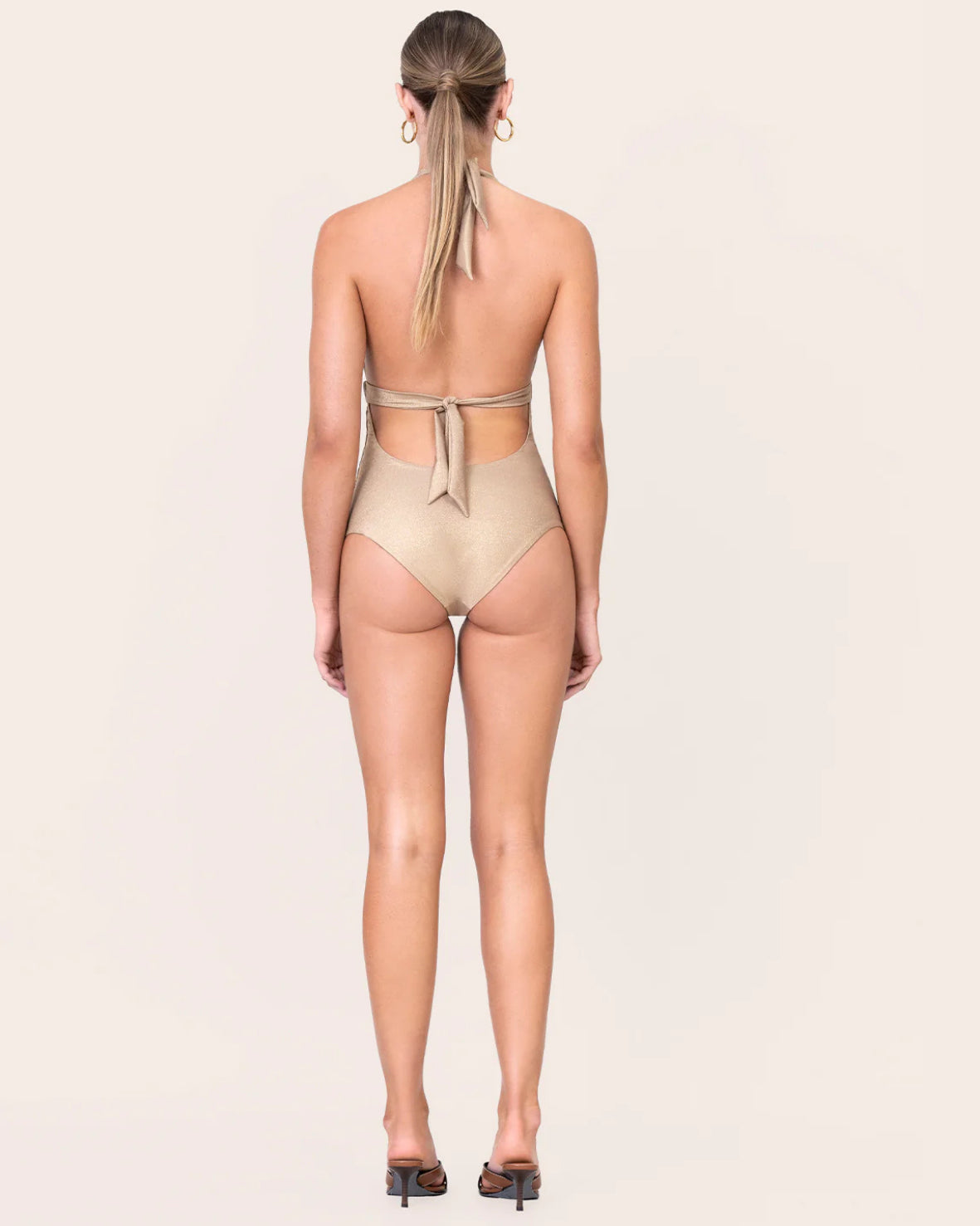 One Piece Every Day