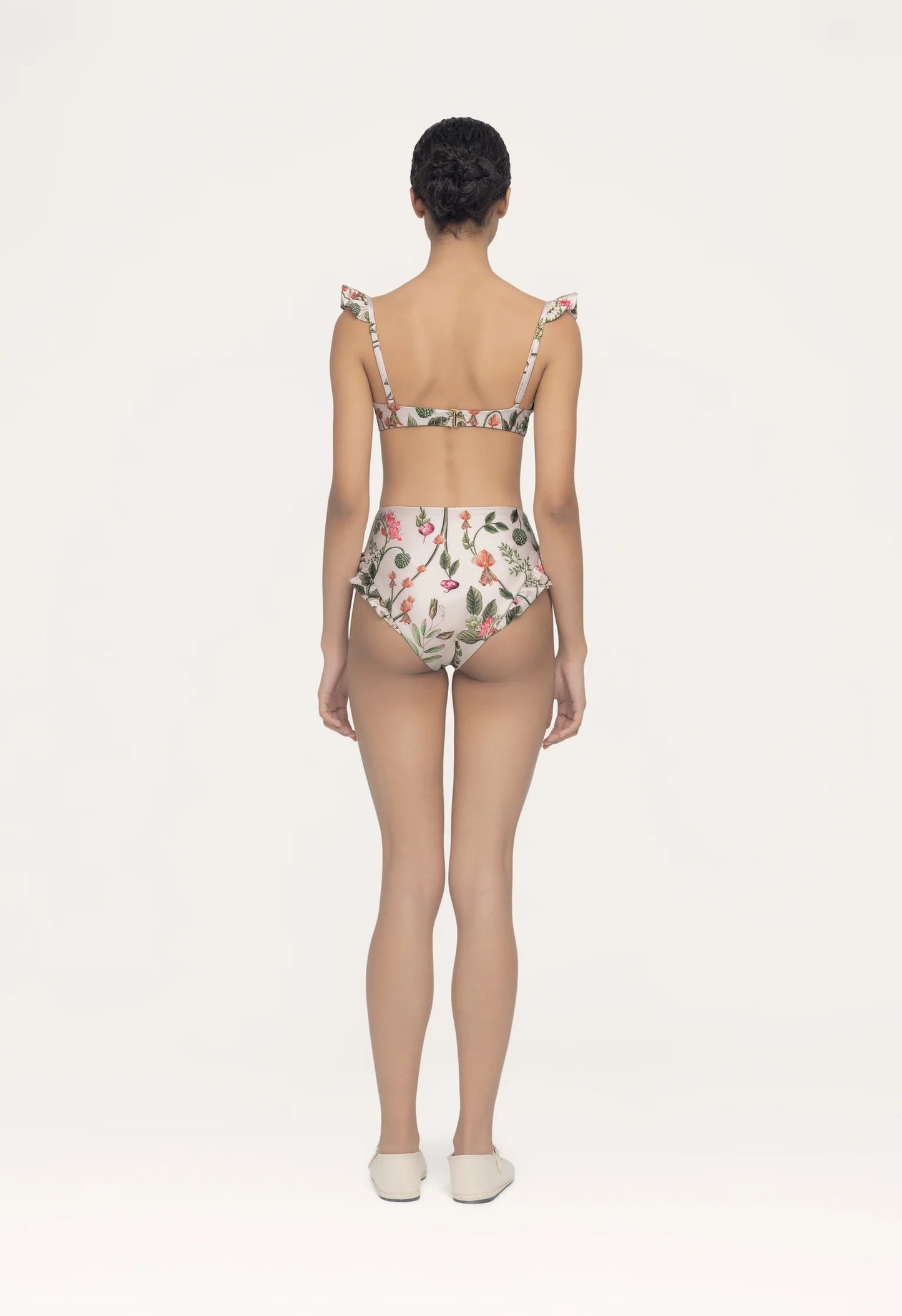 Bottom Jengibre Cultivo