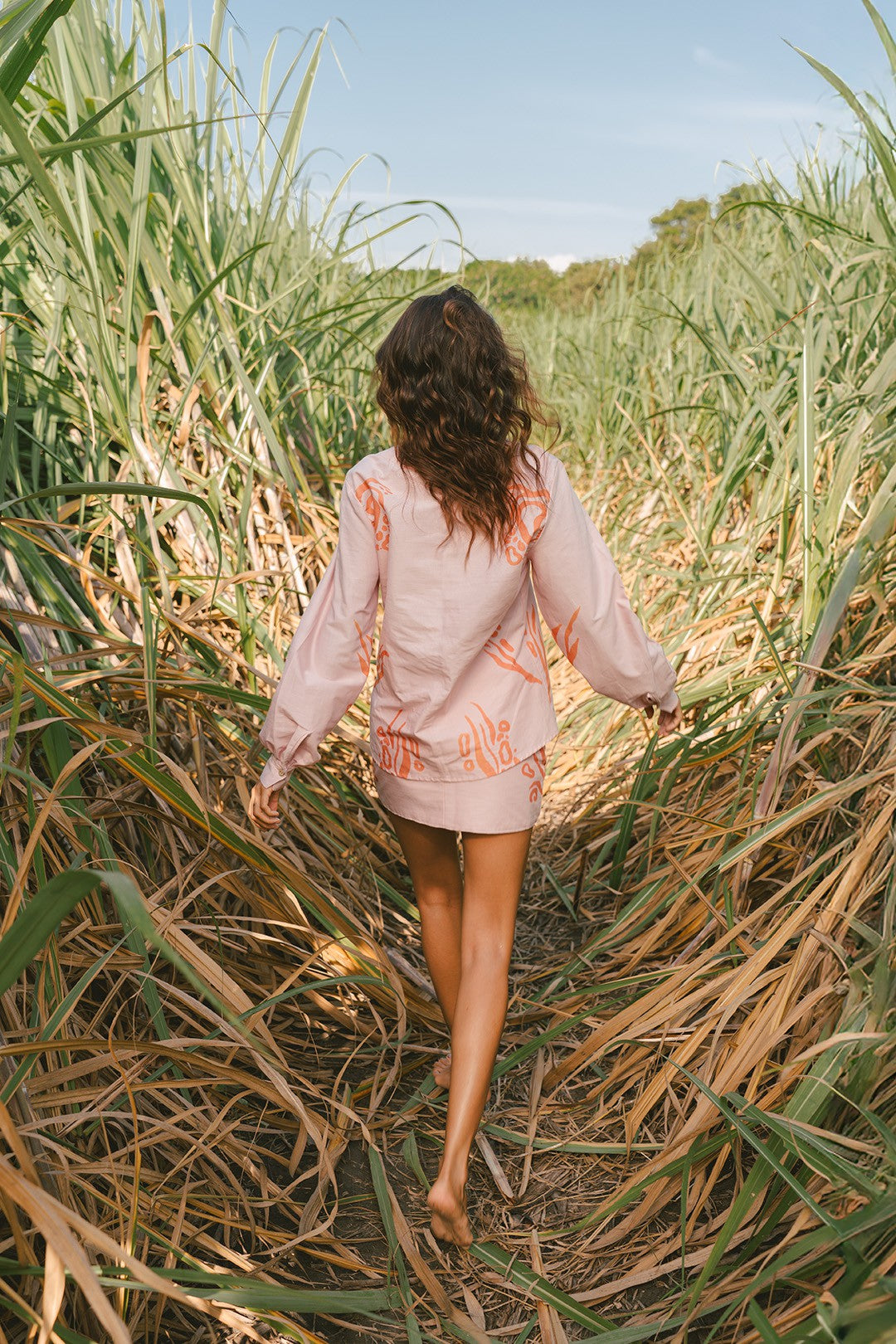Camisa Gato del Río