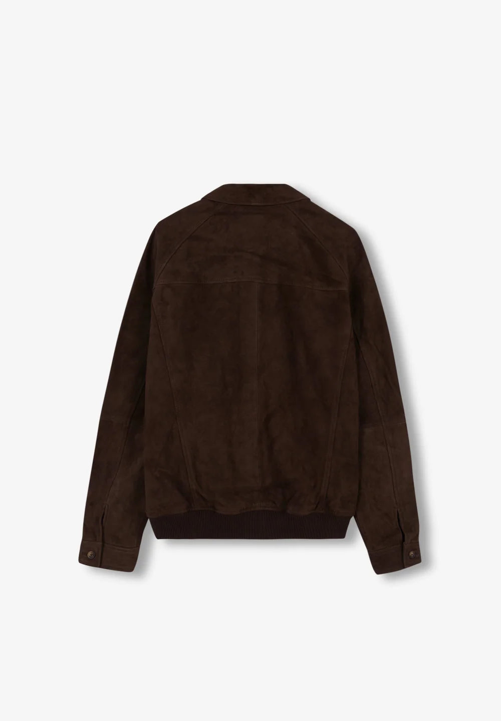Chaqueta Suede Bomber