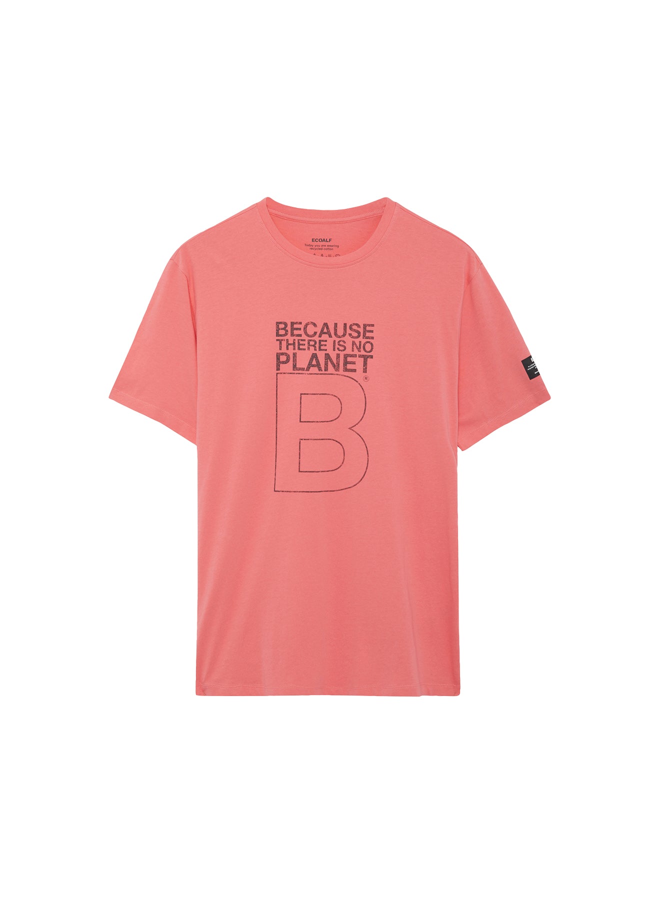 Camiseta Greatalf B CAMISETAS Malva CO