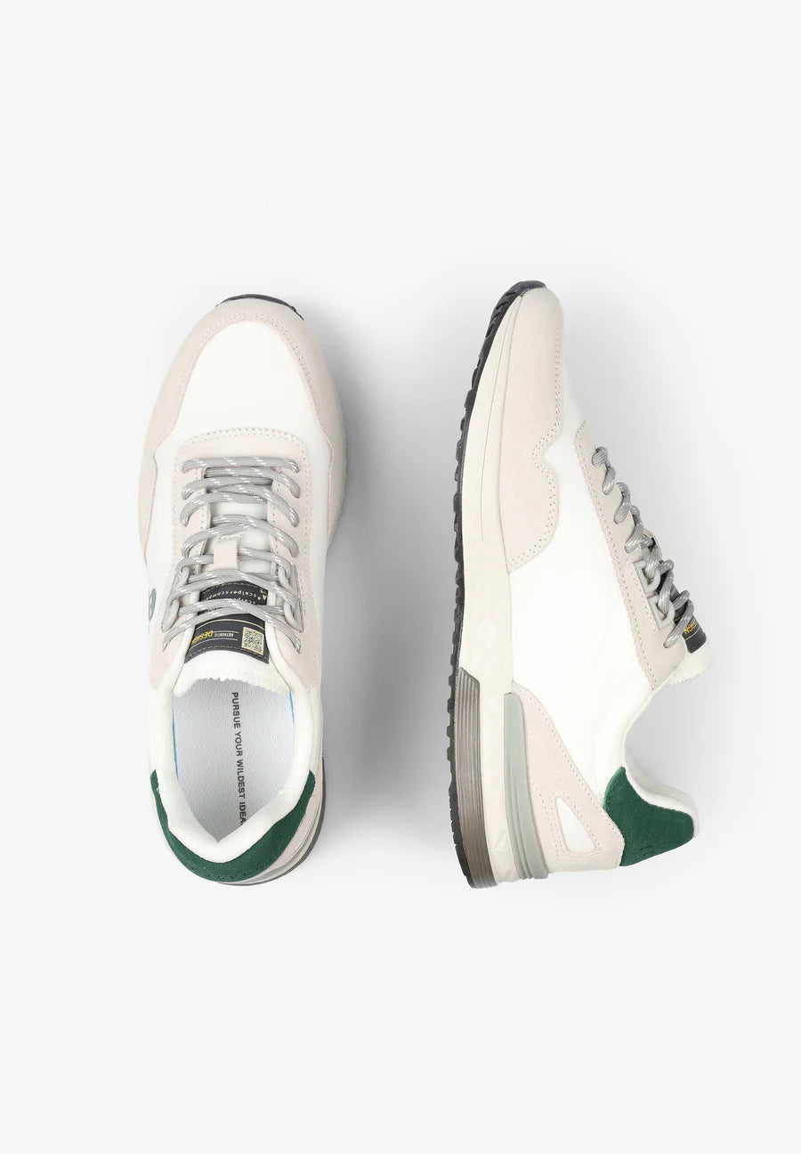 Tenis Harry