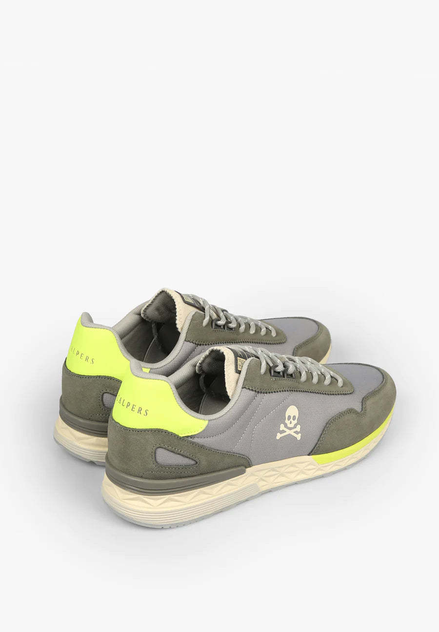 Tenis Harry
