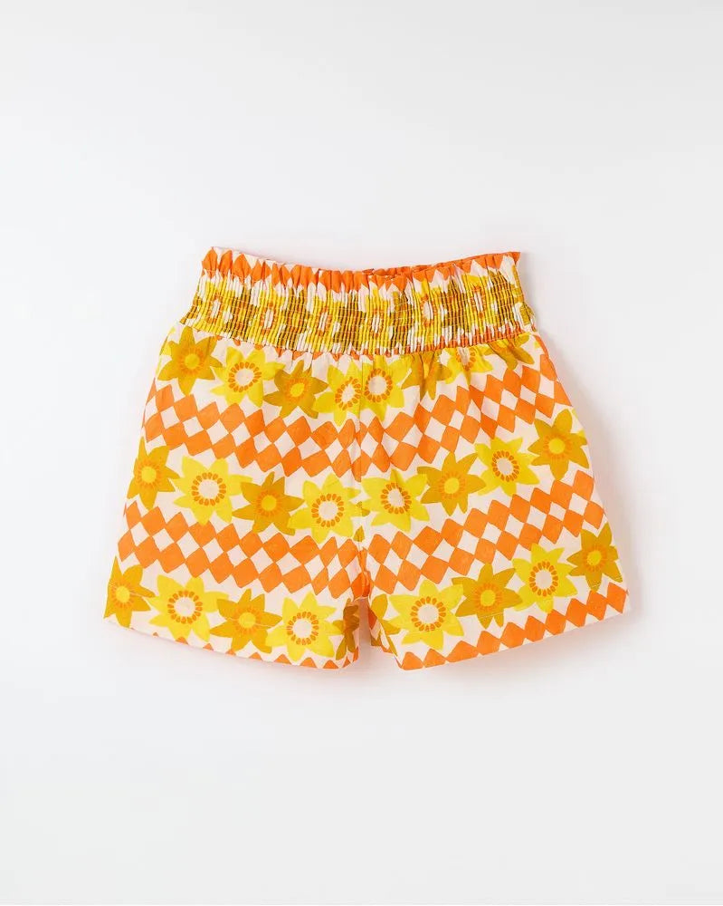 Short Hermosa Solar