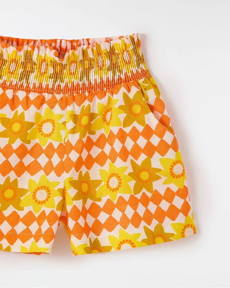 Short Hermosa Solar