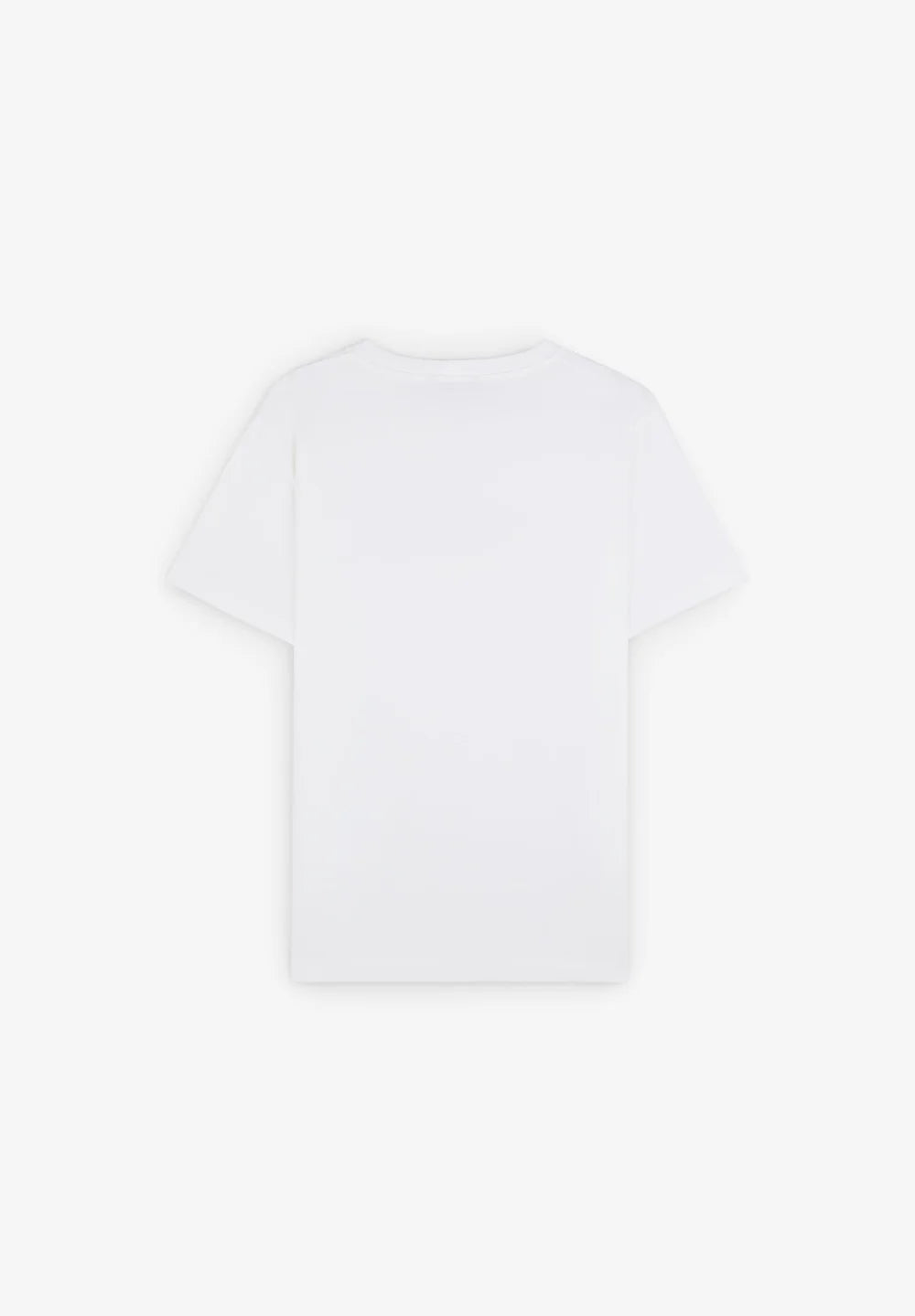 T-Shirt Brand Tee SCALPERS T-SHIRT Malva CO