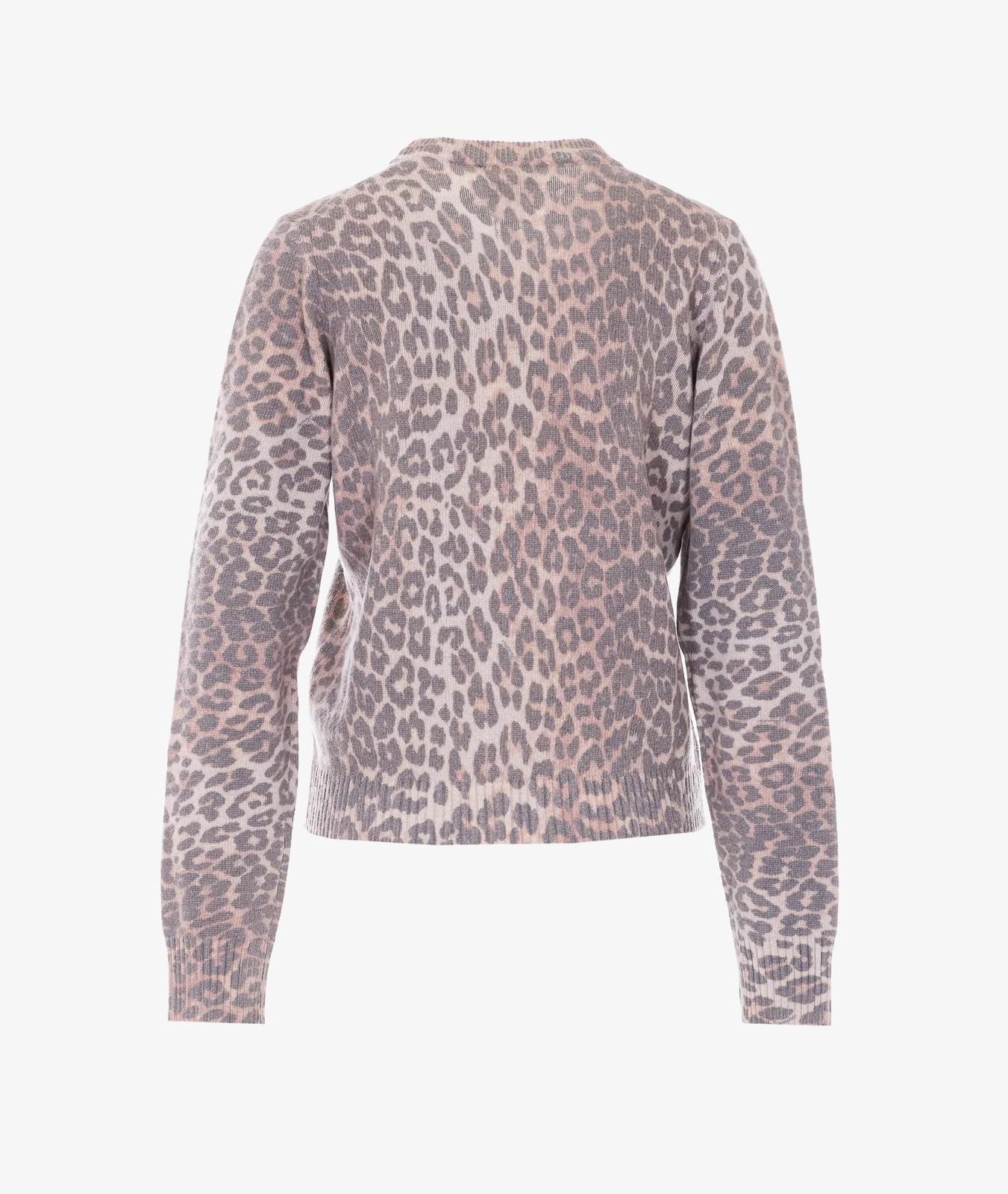 Jersey Puppy Graphic Wool