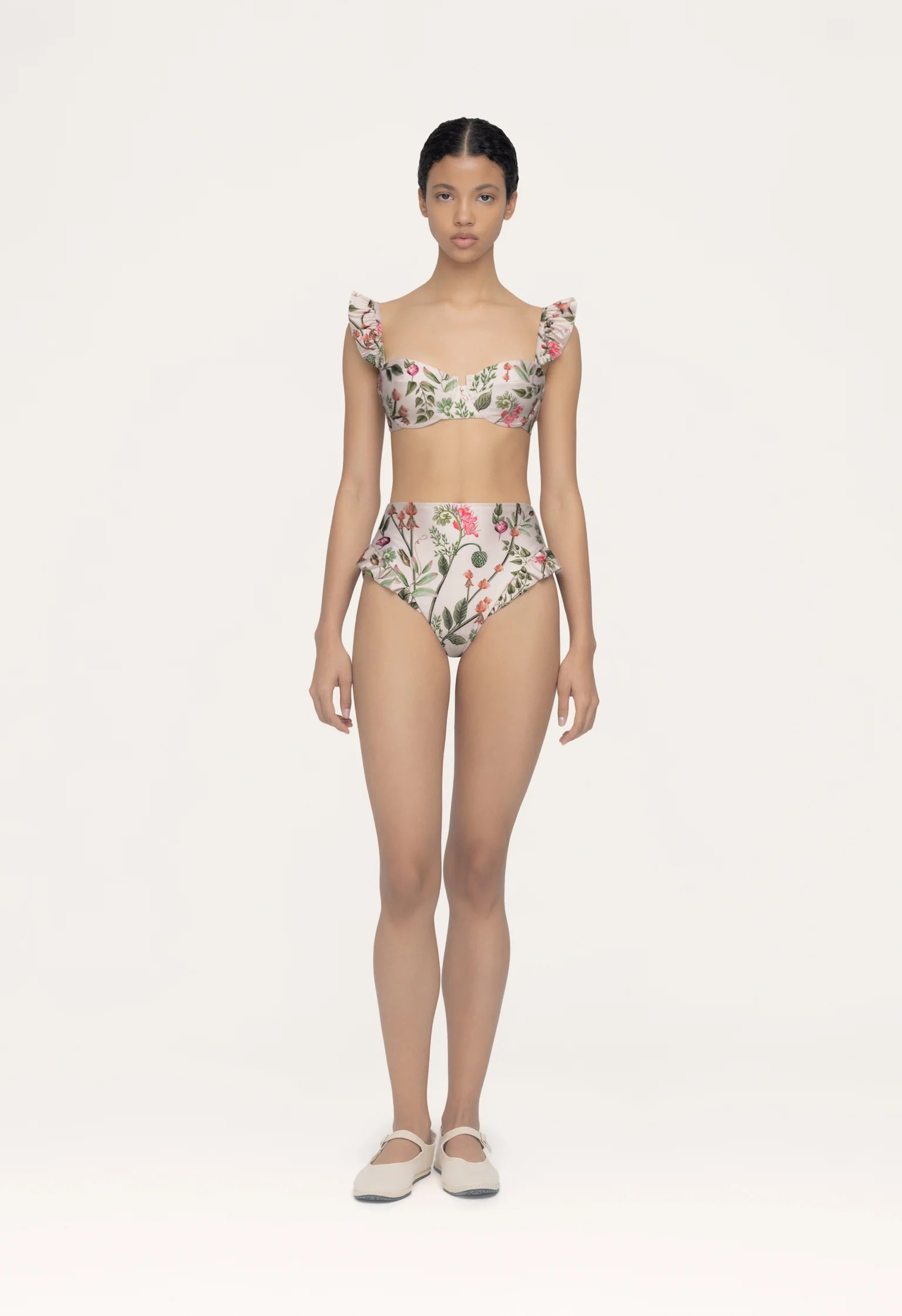 Bottom Jengibre Cultivo