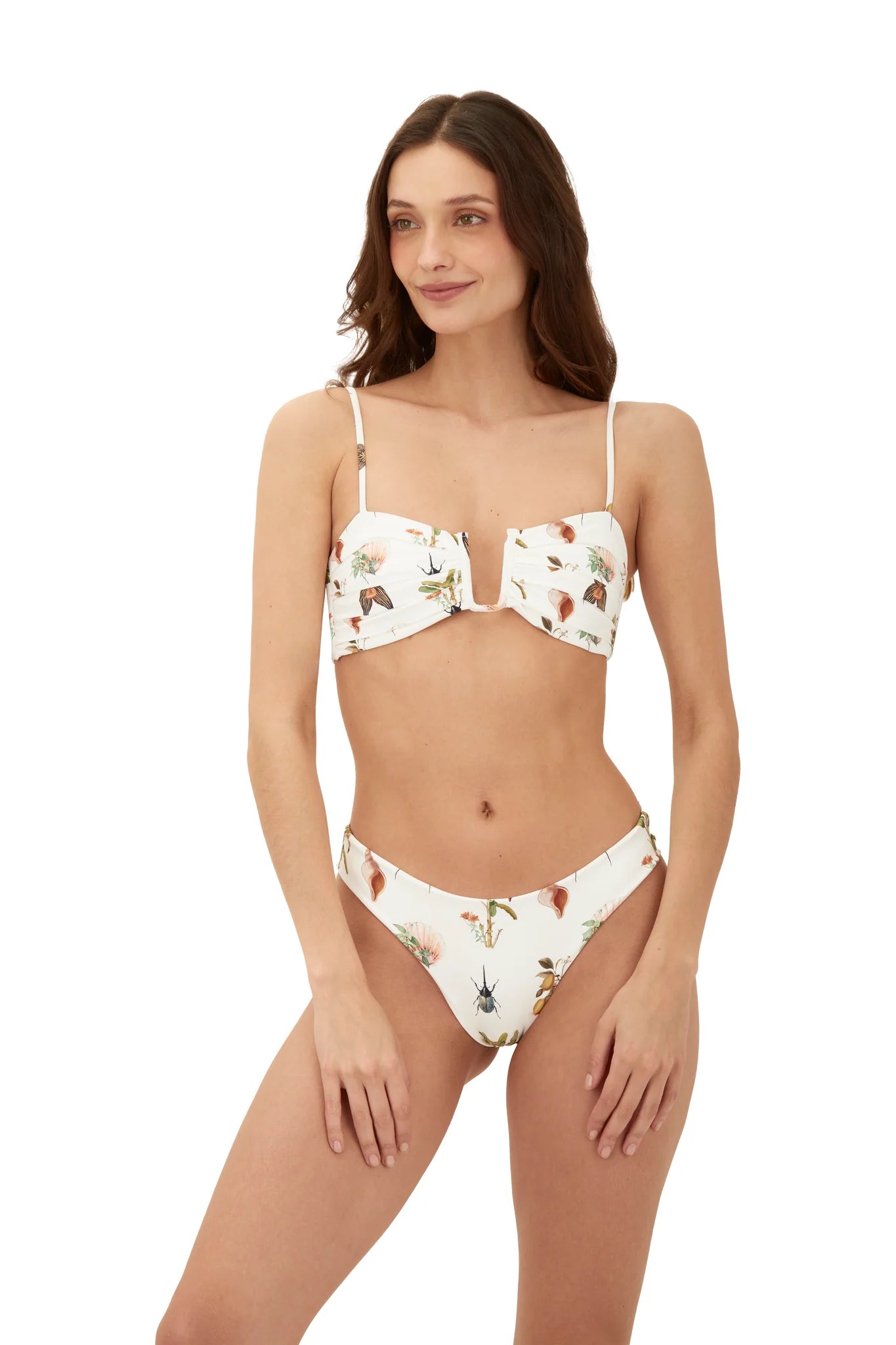 Bottom Paramount Tree Blush Banana