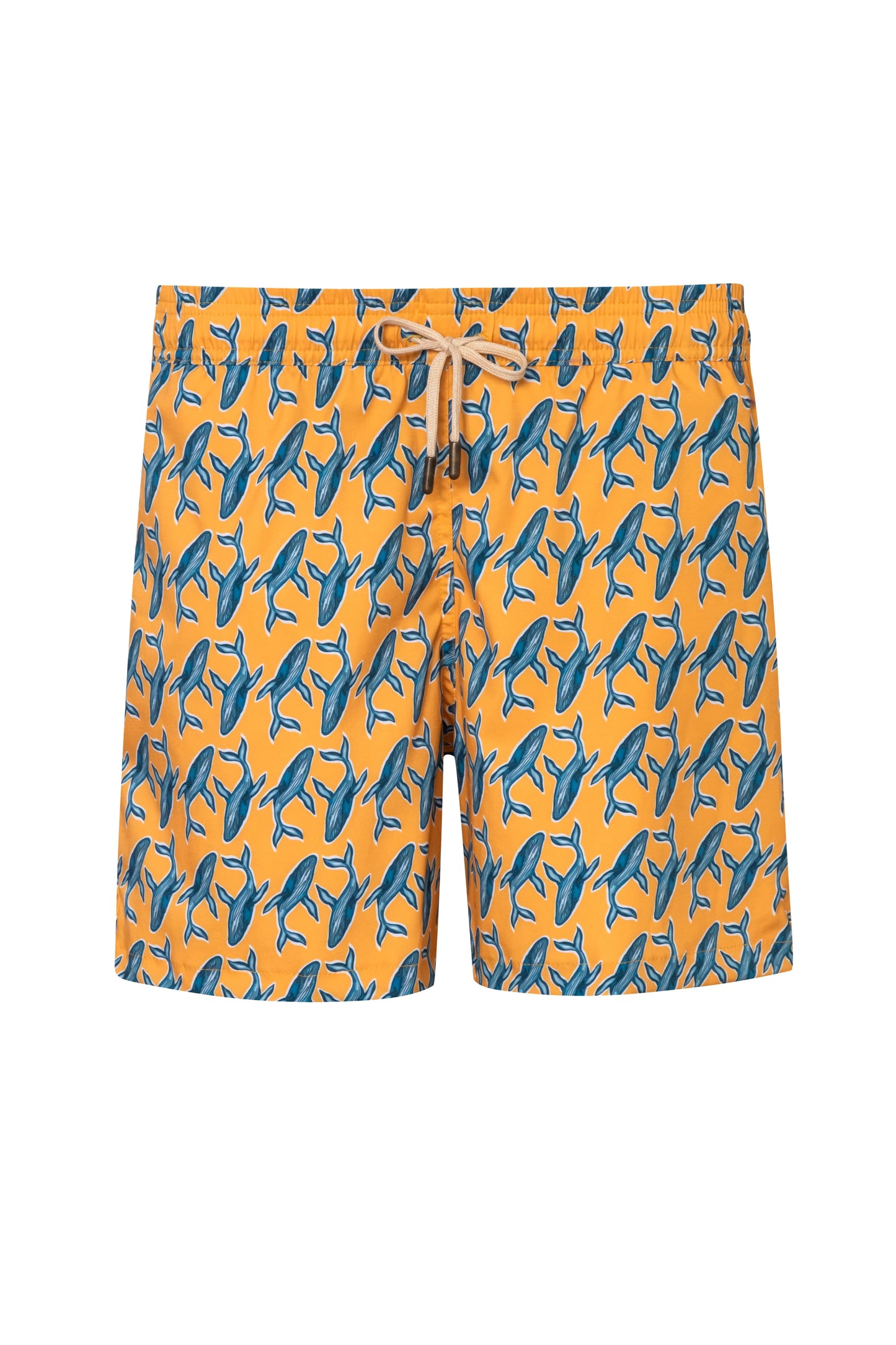 Short Baleia1