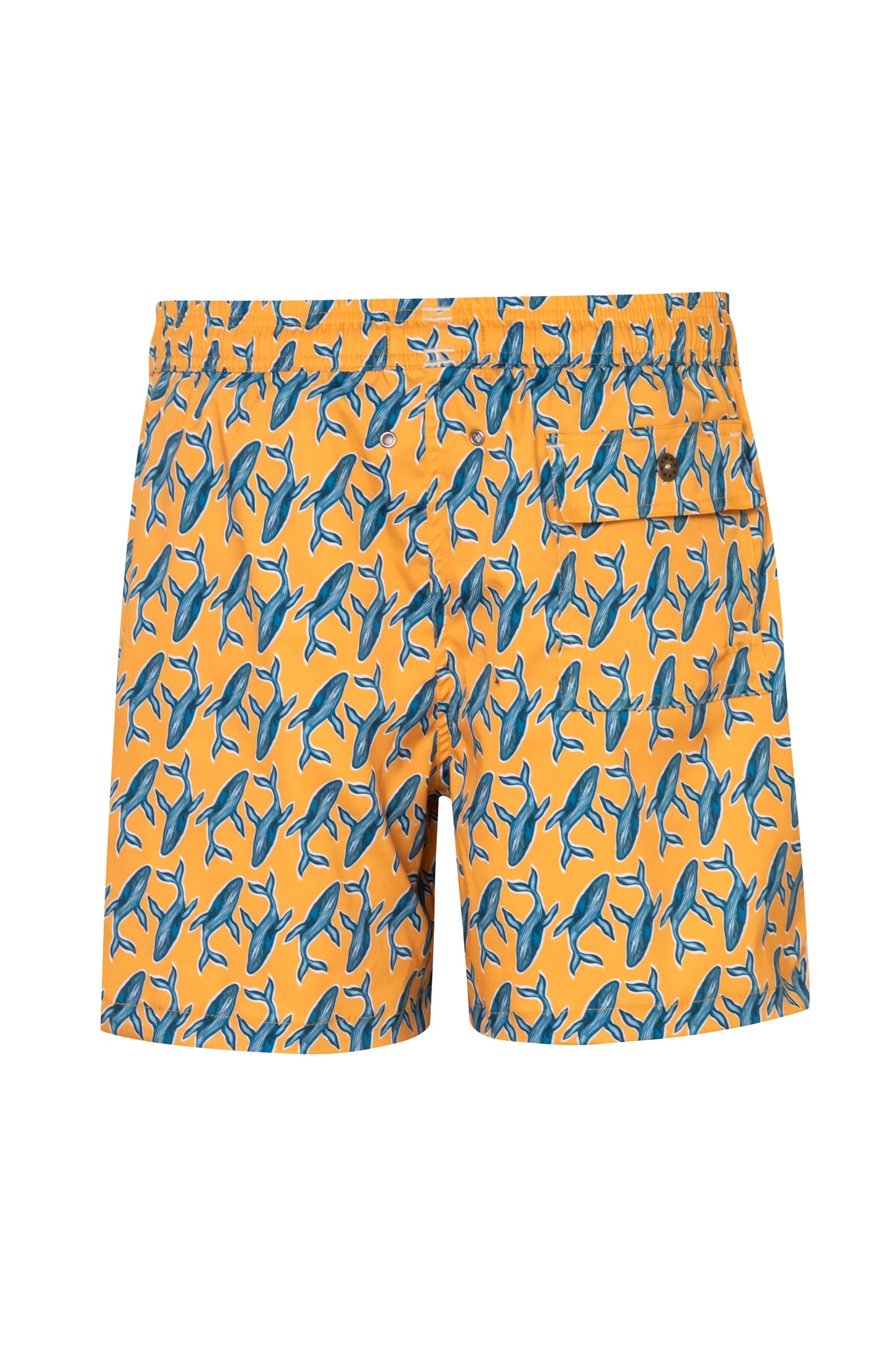 Short Baleia1
