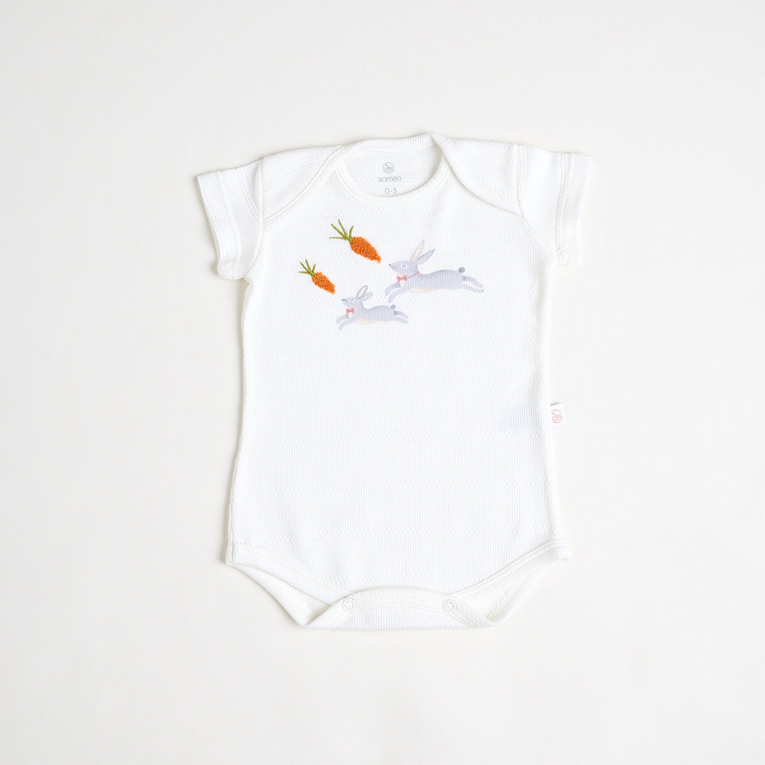 Body Animal Conejo Crudo