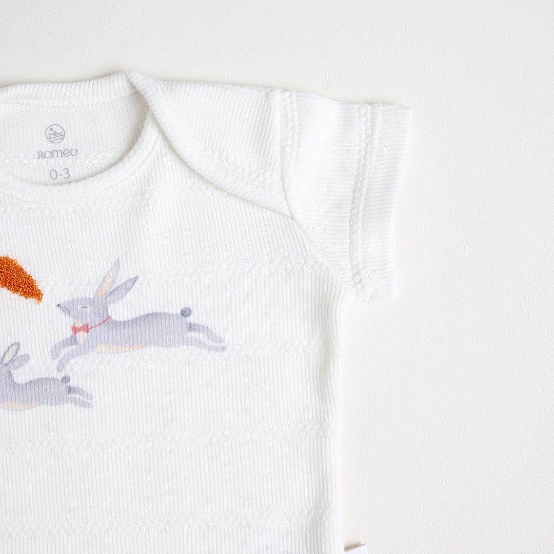 Body Animal Conejo Crudo