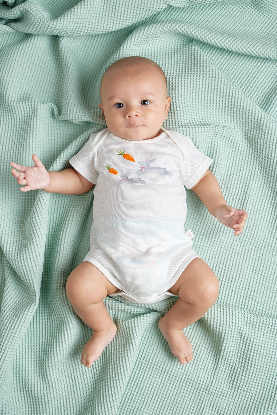 Body Animal Conejo Crudo