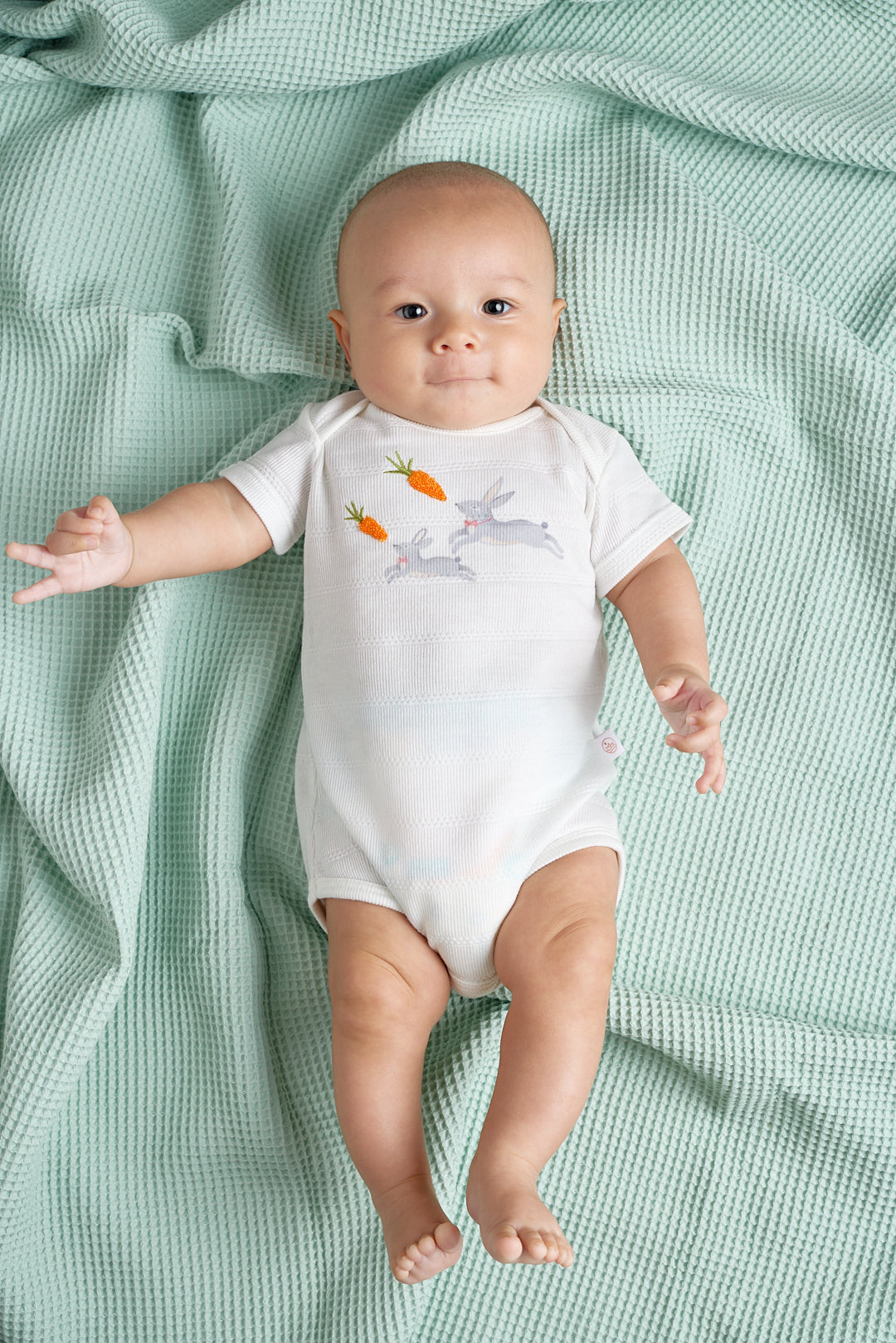 Body Animal Conejo Crudo