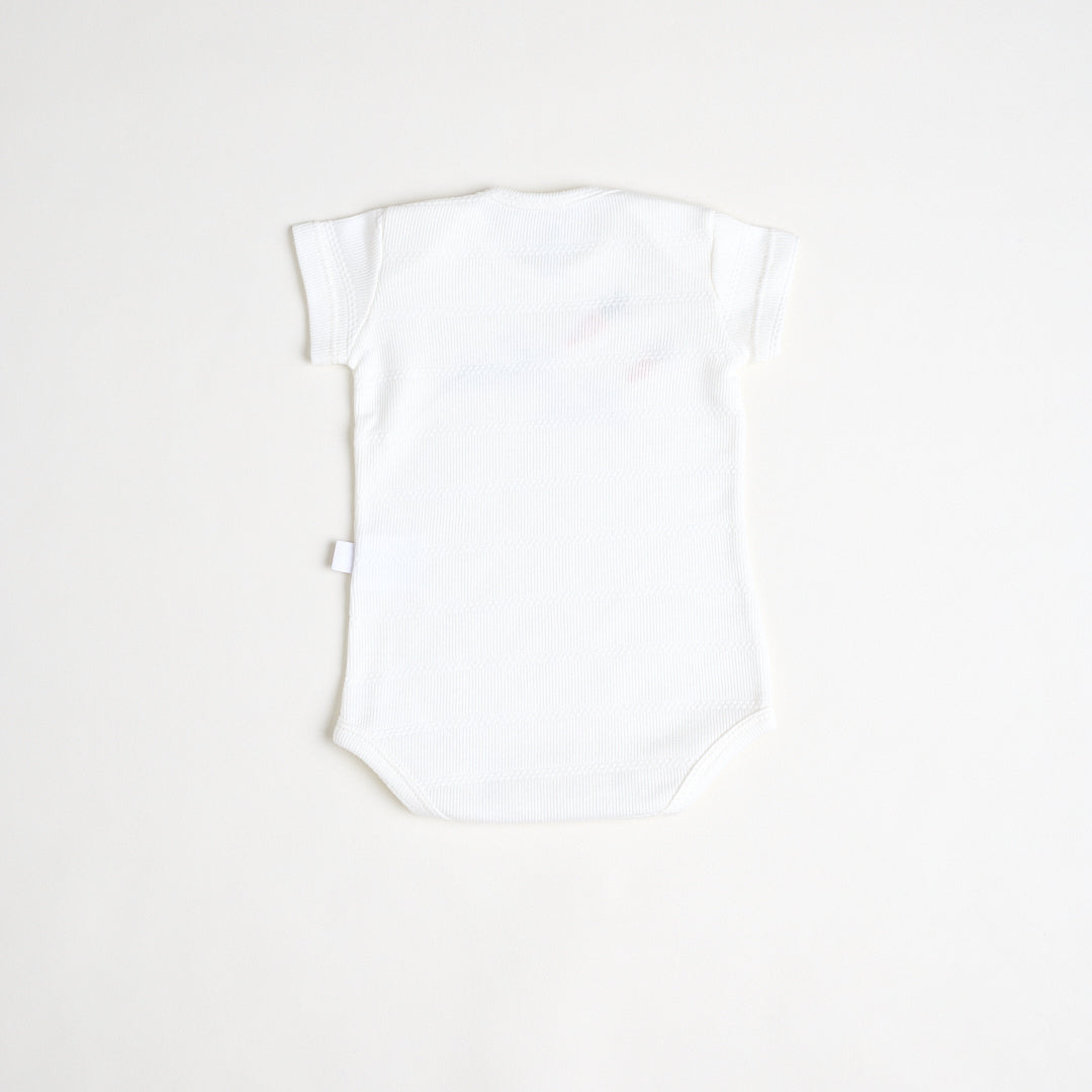 Body Animal Conejo Crudo