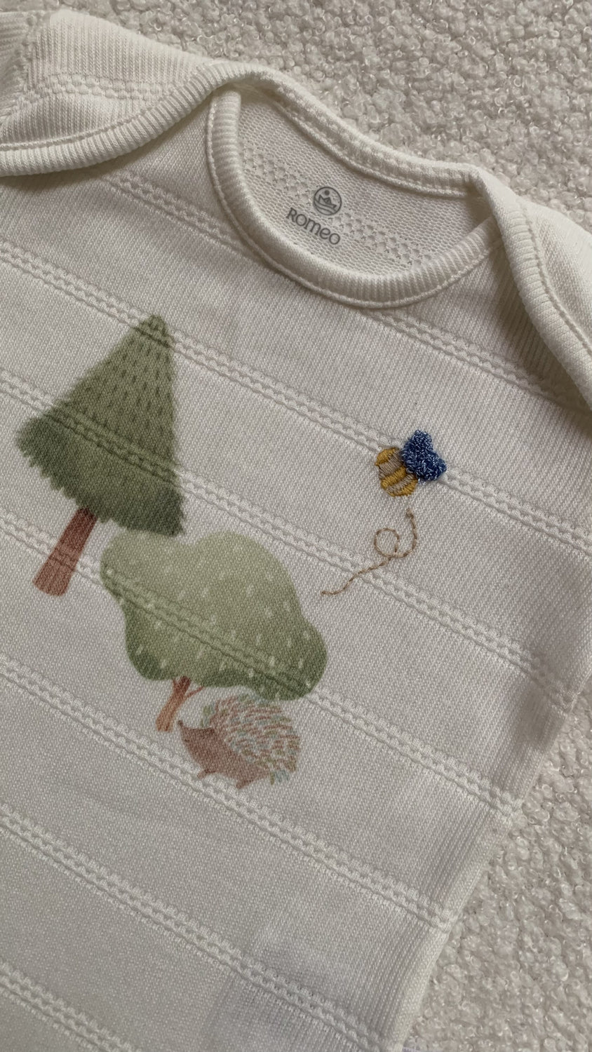 Body Animal Erizo Crudo