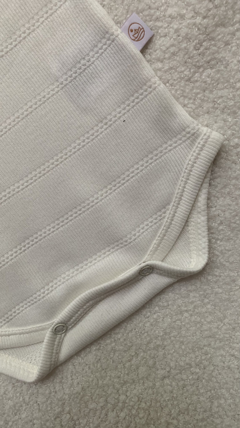 Body Animal Erizo Crudo