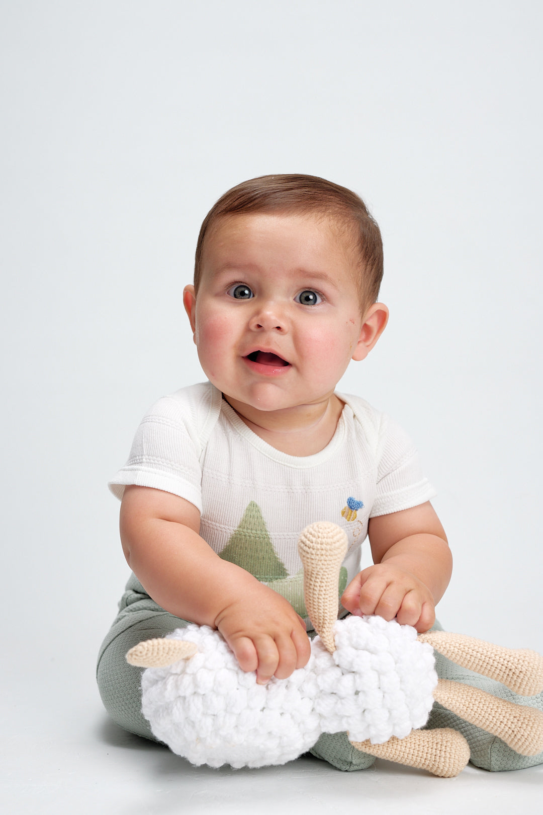 Body Animal Erizo Crudo