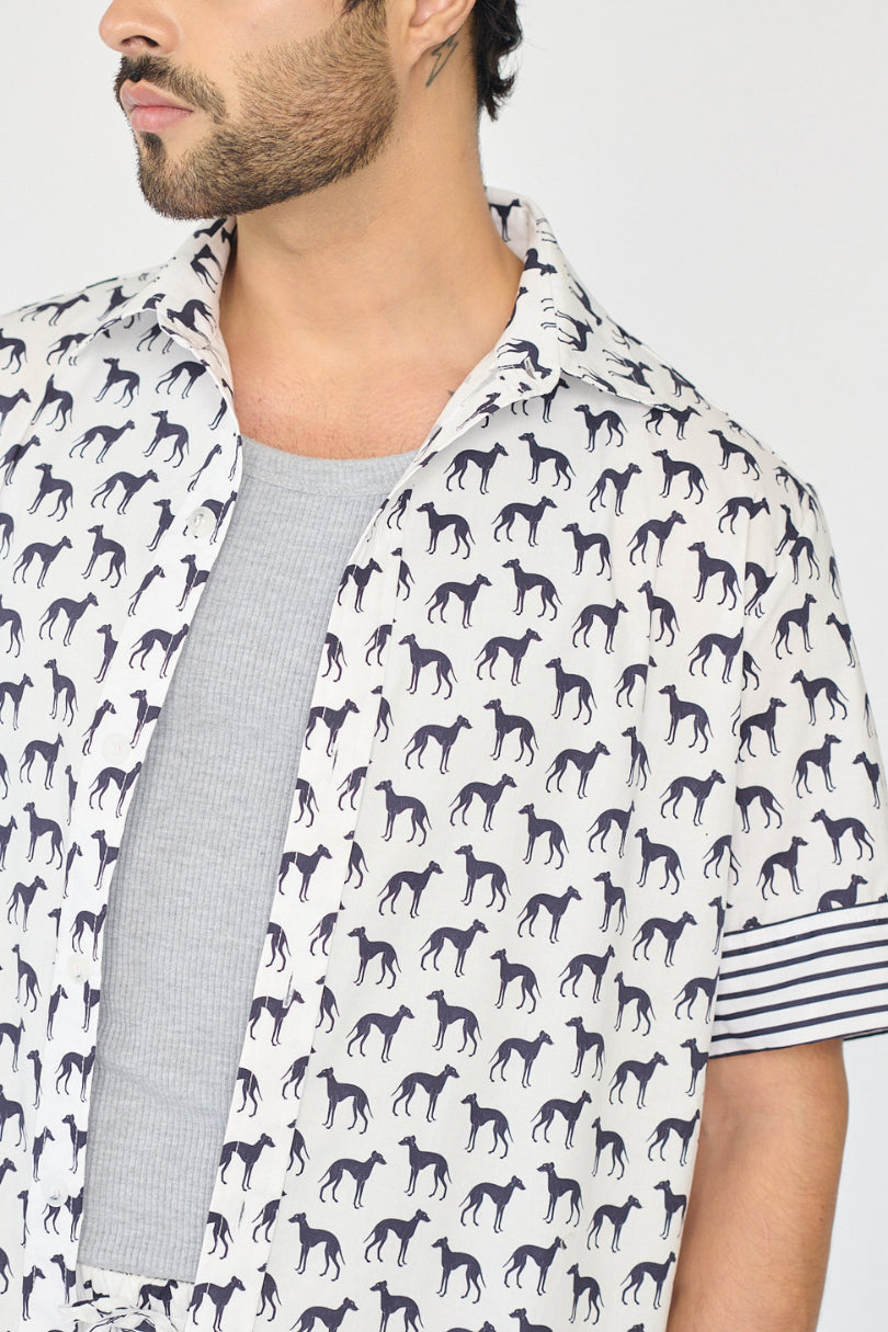 Camisa Galgos