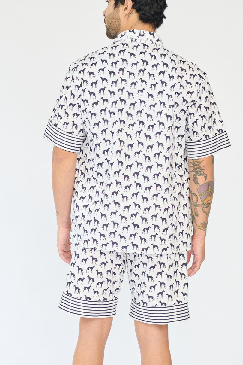 Camisa Galgos