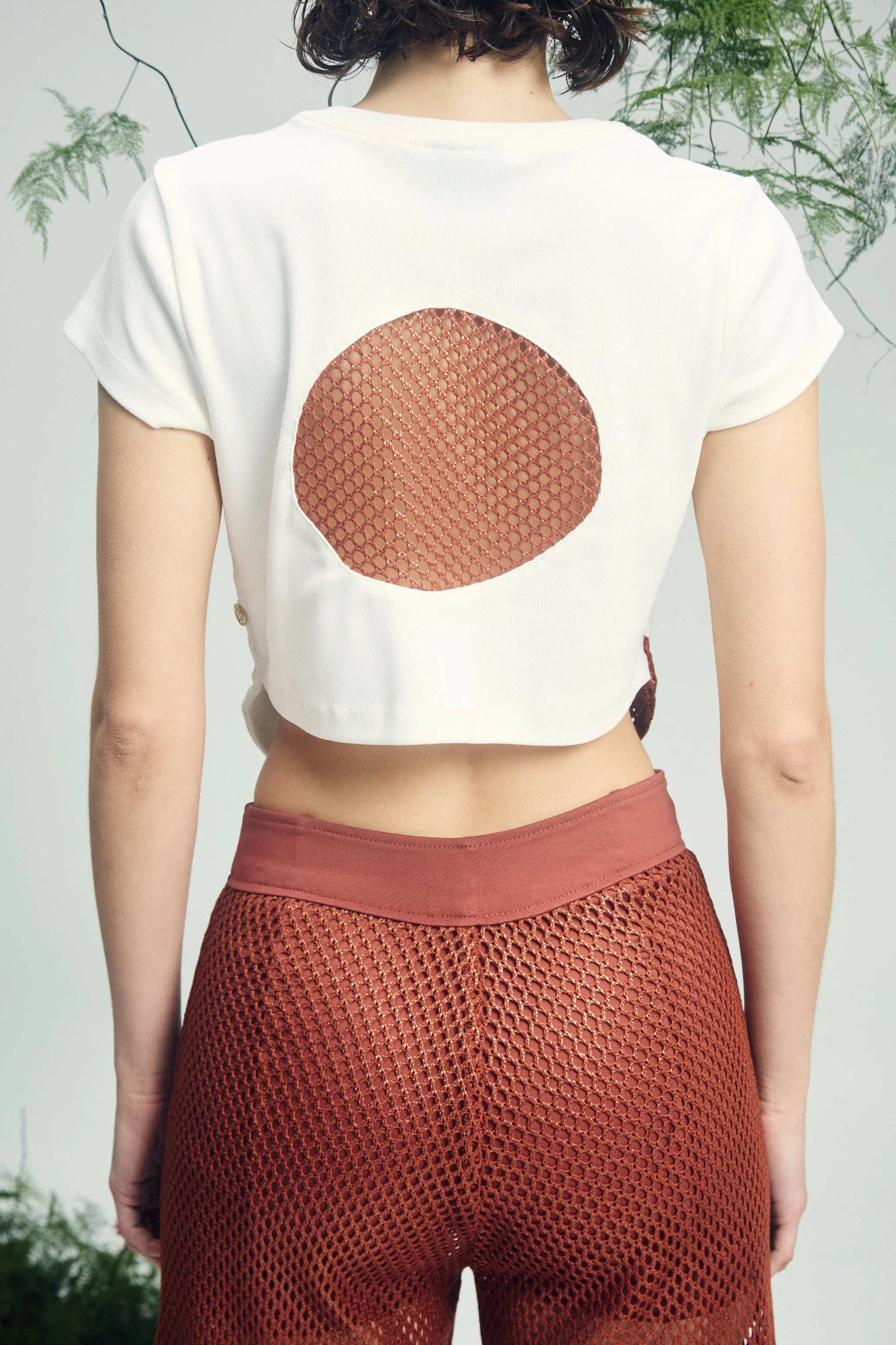Camiseta Elaphinae