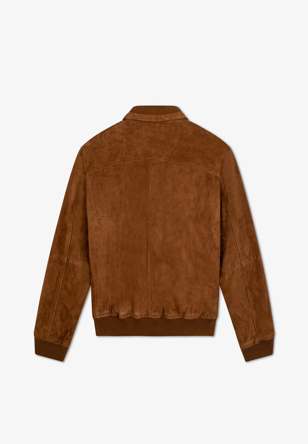 Chaqueta Suede Bomber Rib