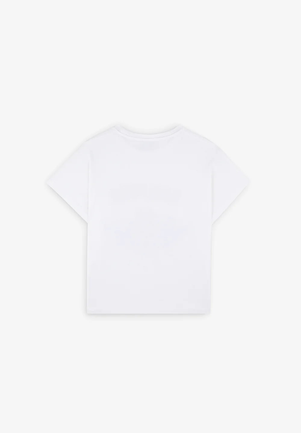 T-Shirt Dolphin