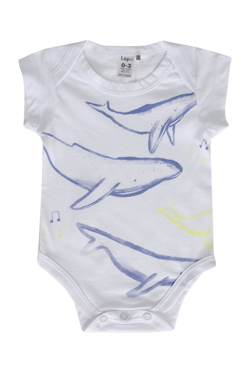 Bodie Whales