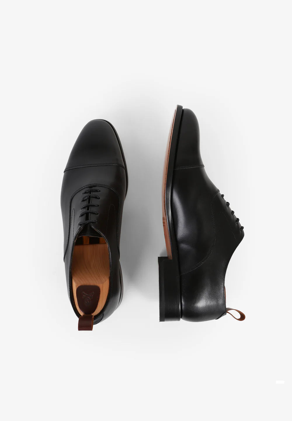 Zapato Nos Alaska