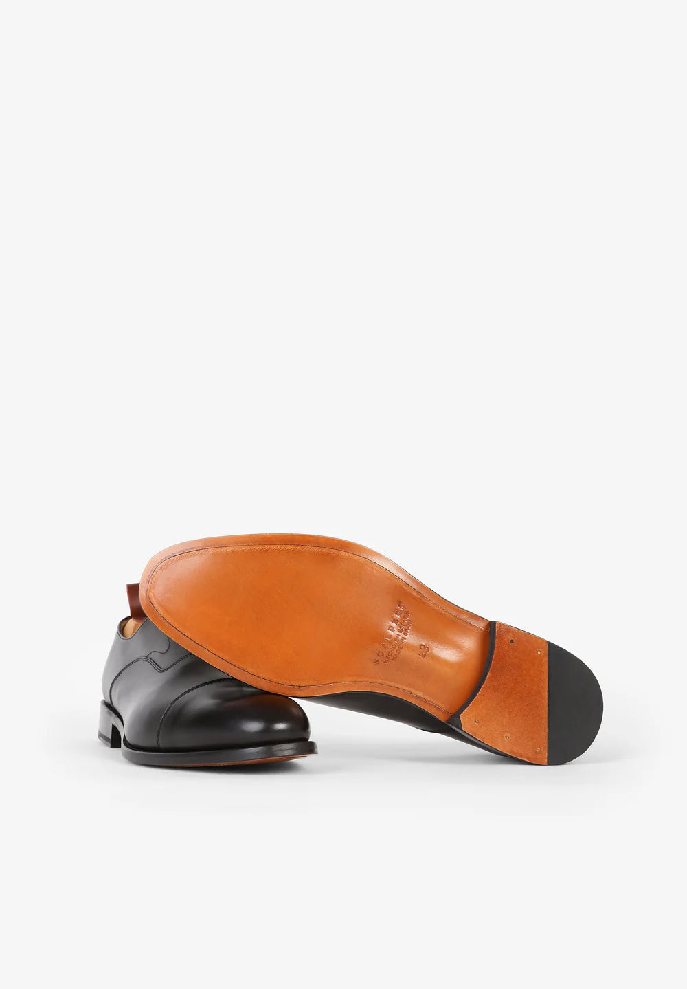 Zapato Nos Alaska