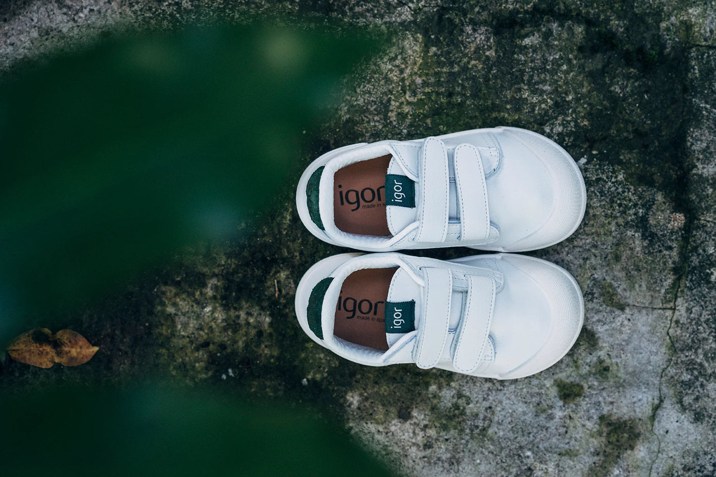 Tenis Igor 271 Musgo