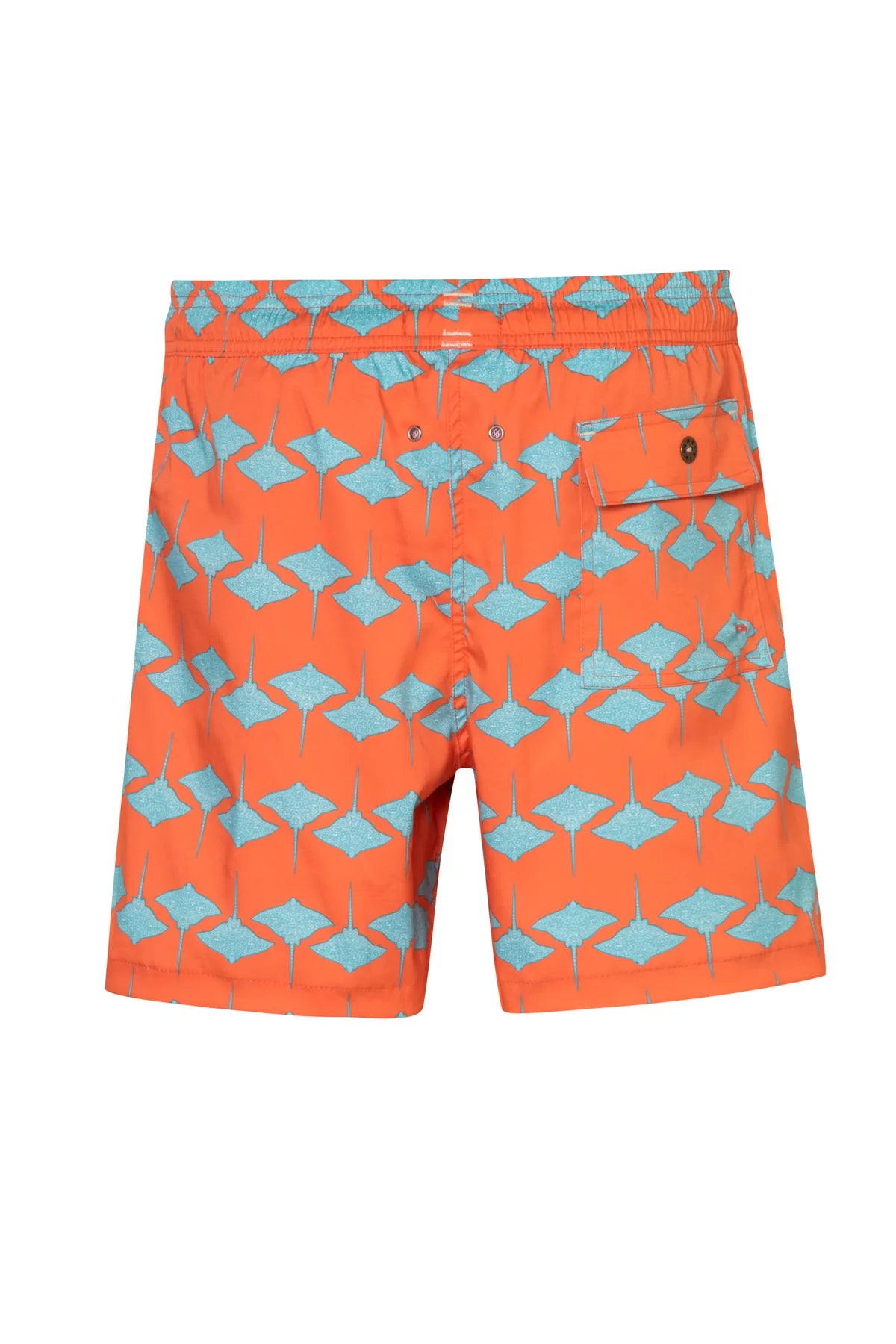 Short Manta1