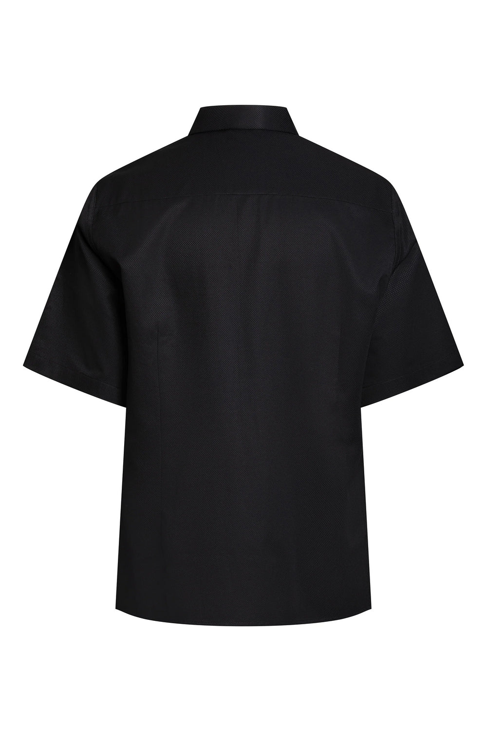 Camisa La Revelacion LUGO LUGO CAMISAS Malva CO
