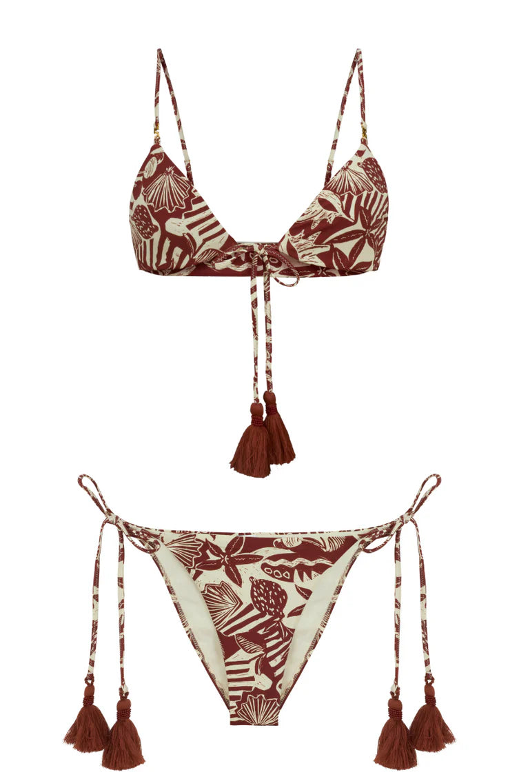 Top Murex SEA SALT TOP Malva CO