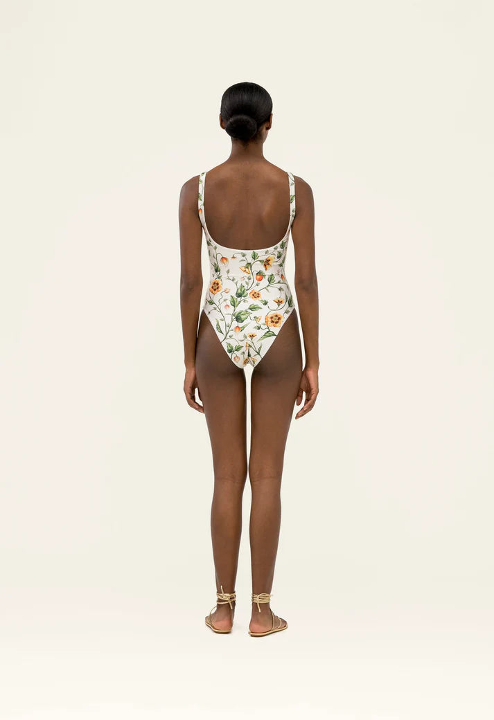 One Piece Gema Uchuva