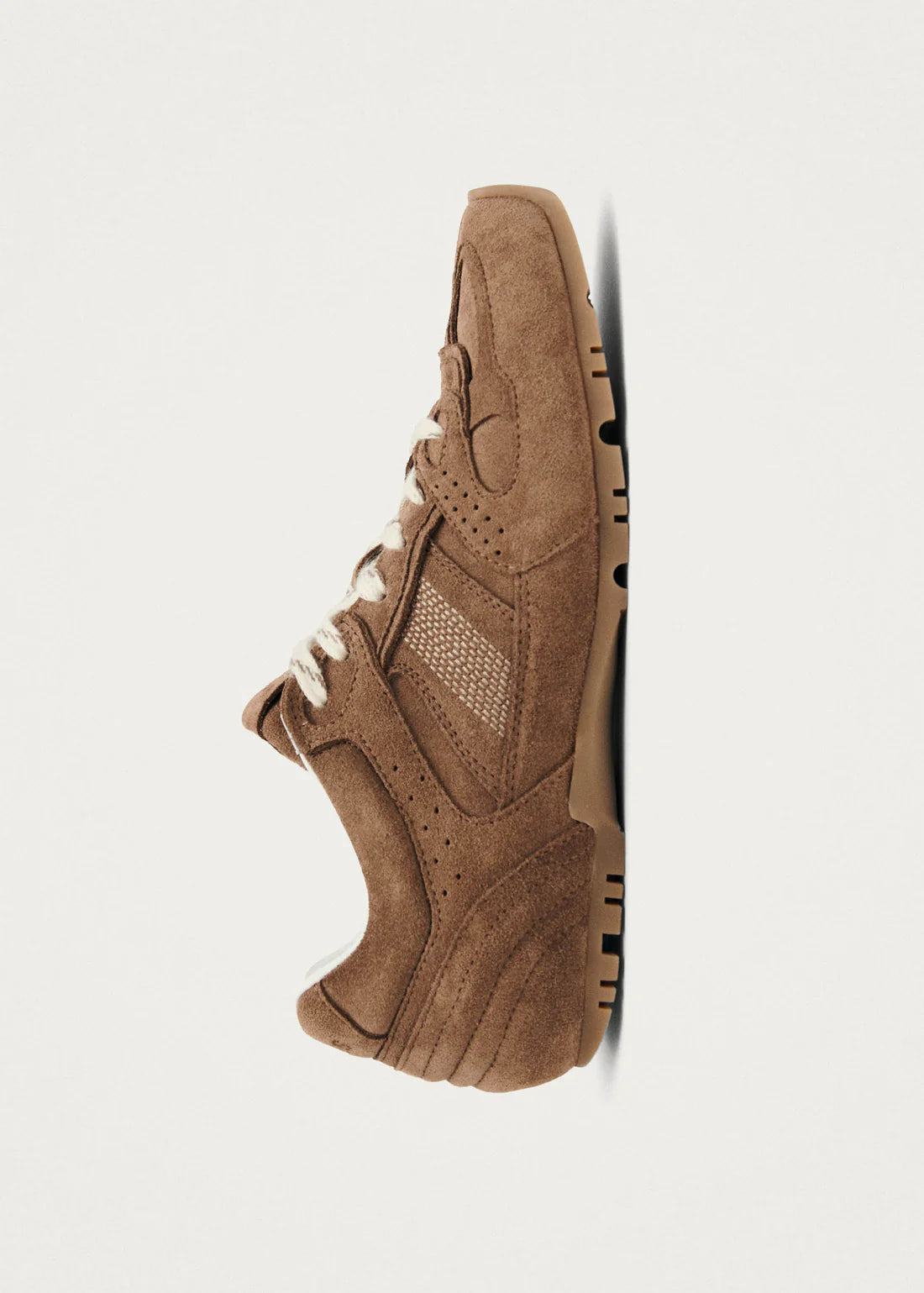 Zapatillas De Ante Marrón Tb.56