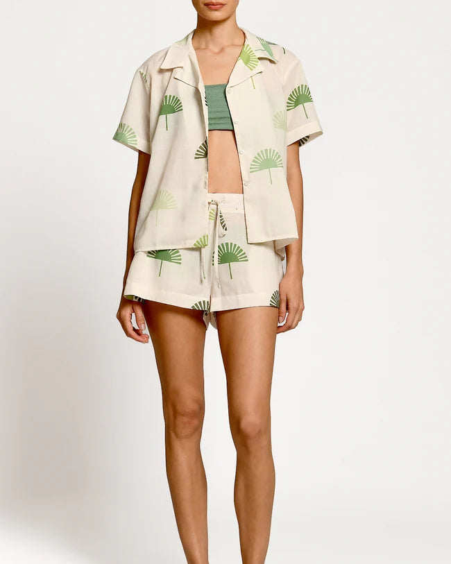 Short Liana Palm