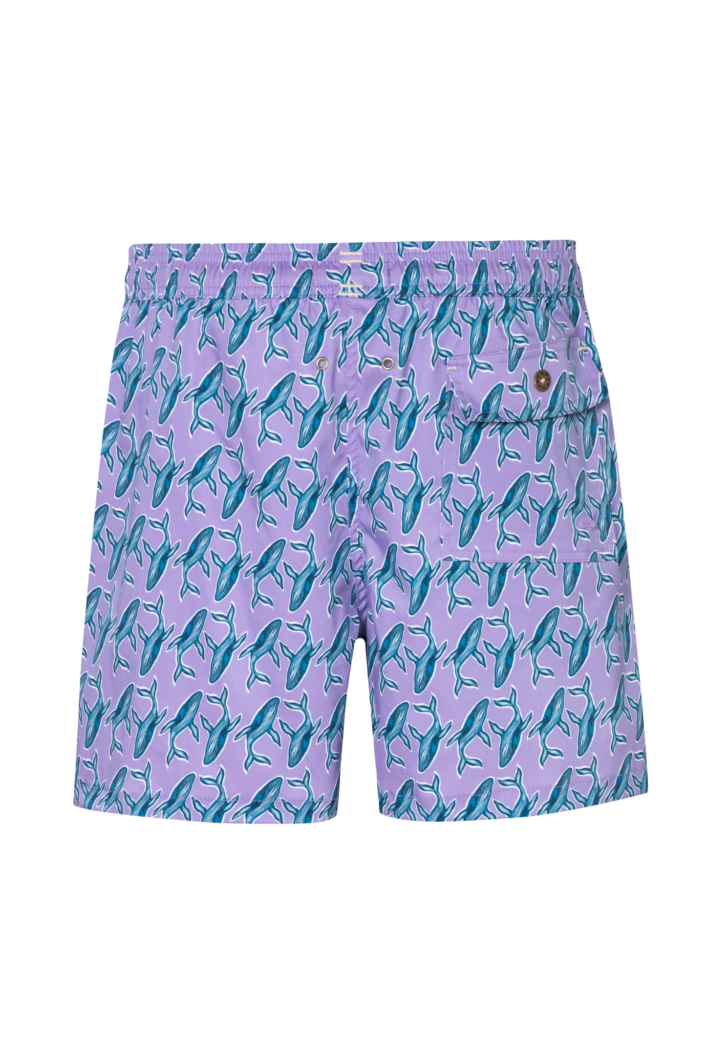 Short Baleia2