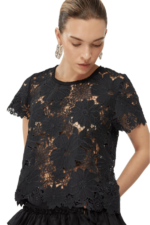 Top Coqui