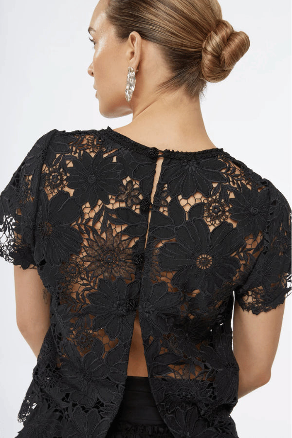 Top Coqui