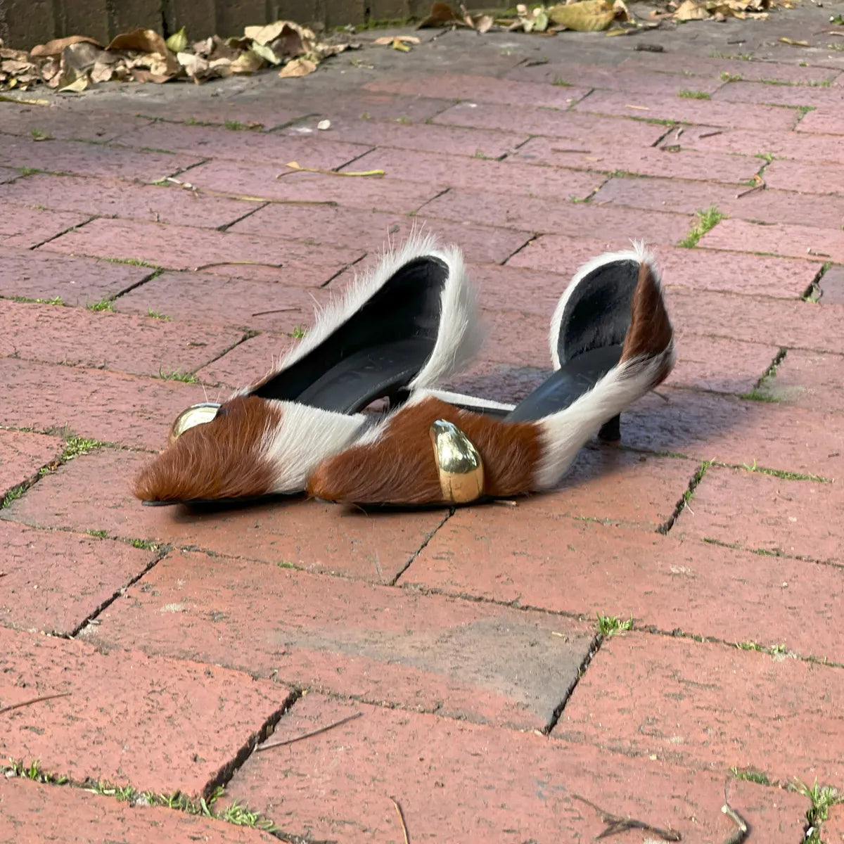 Zapato Tacon Cow Joya