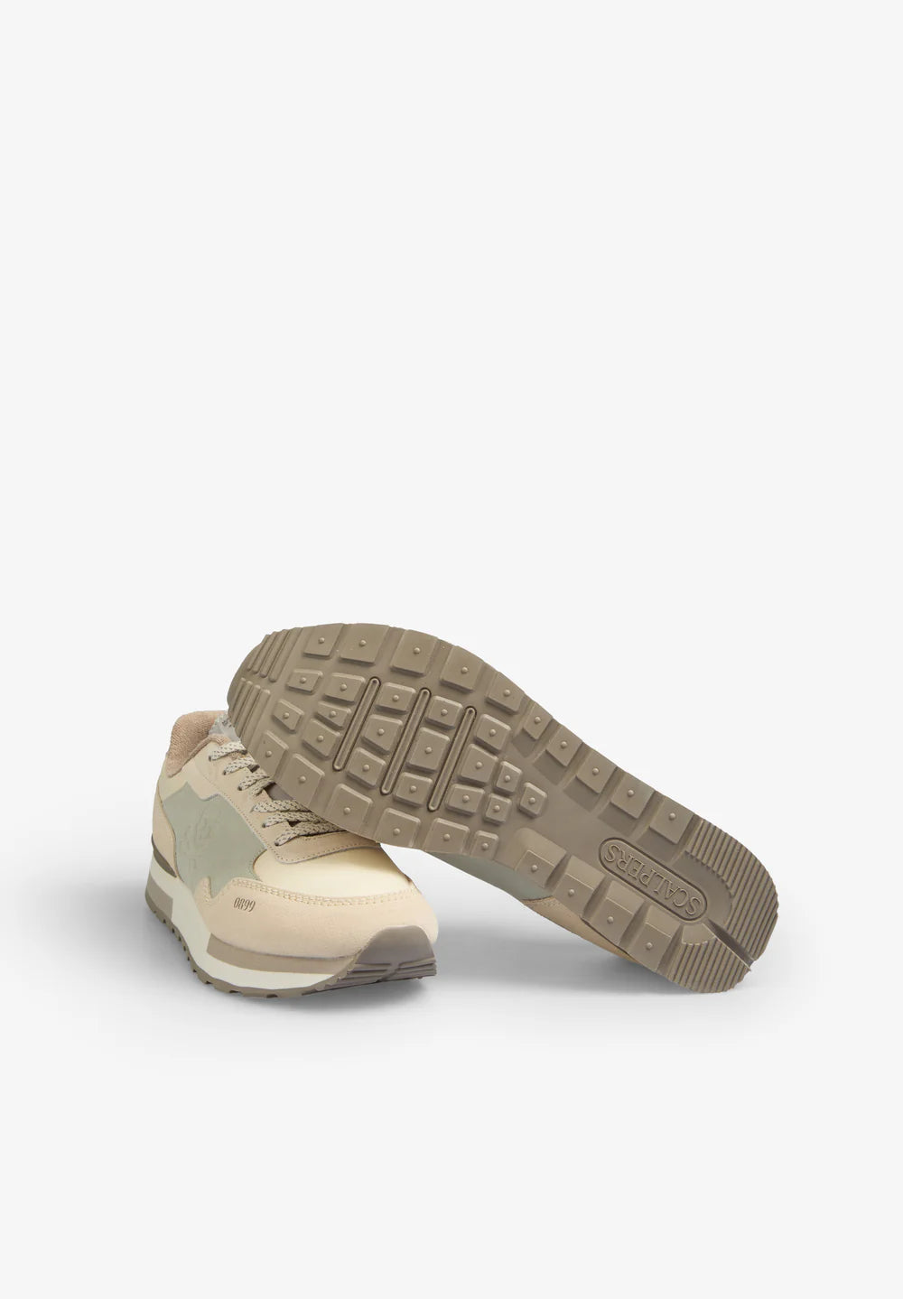 Tenis Scalpers Harry