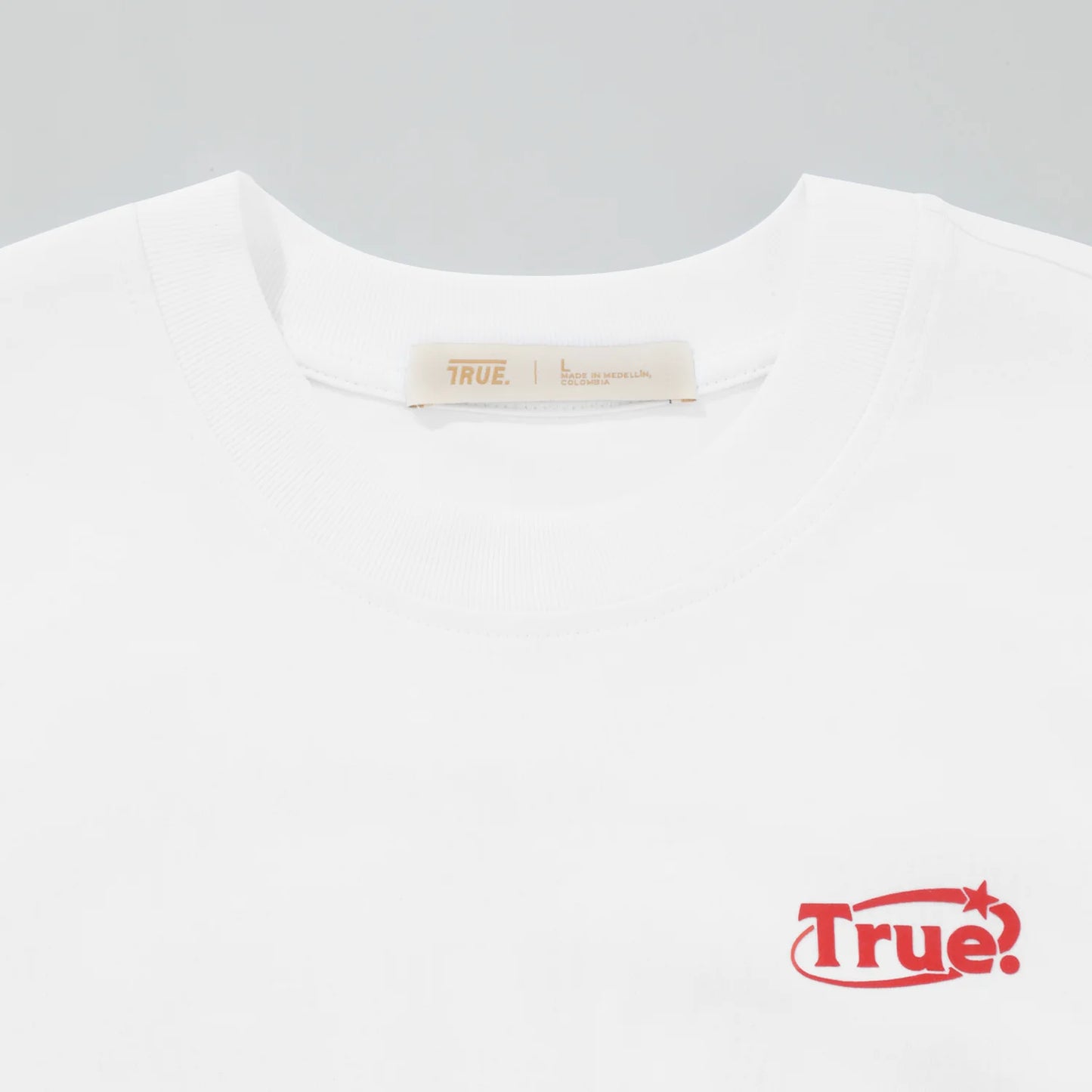 T-Shirt Everyday Logo Hombre