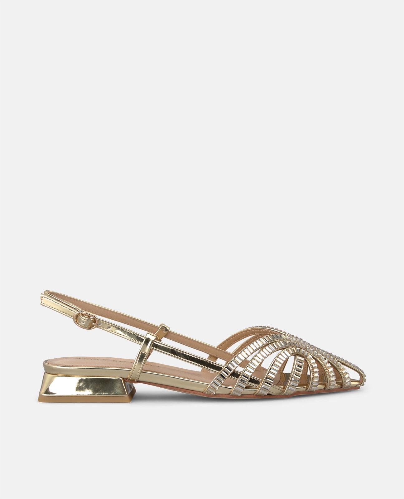 Cangrejera Pedrería