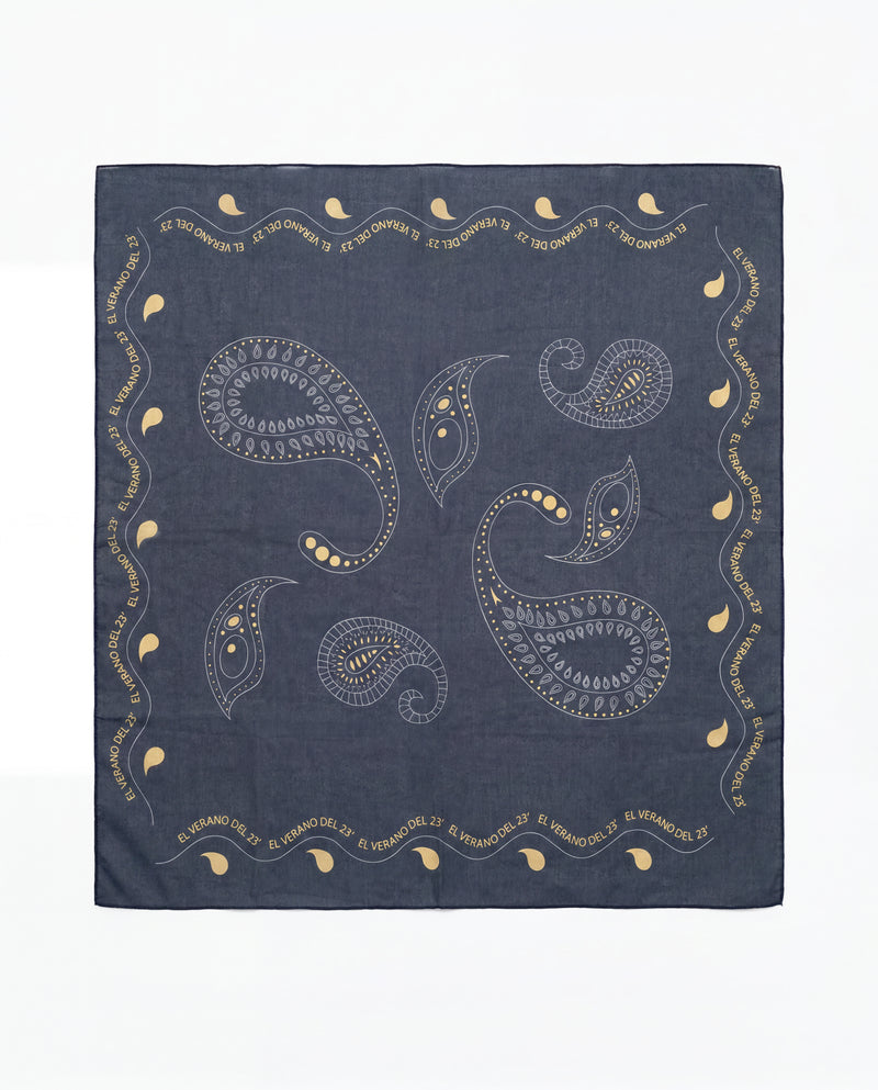 Pañoleta De Paisley